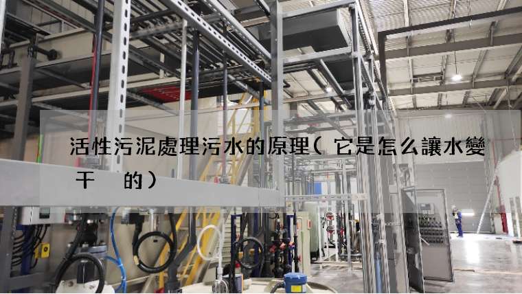 活性污泥處理污水的原理(它是怎么讓水變干凈的)